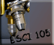 BSCI 105