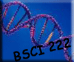 BSCI 222