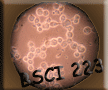 BSCI 223