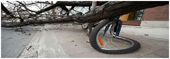 log crushing bike
