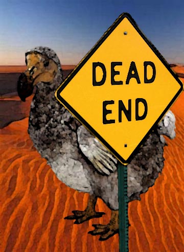 dead end dodo