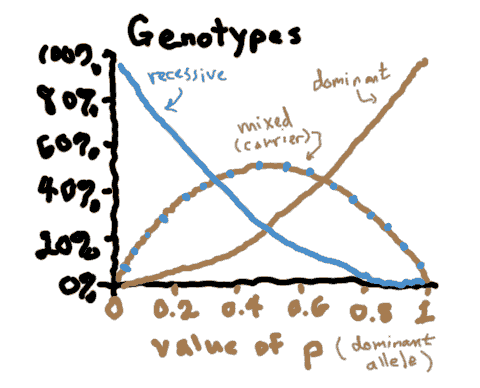 the genotype graph