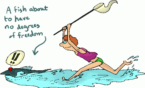 woman chasing fish with net