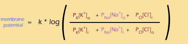 goldman equation