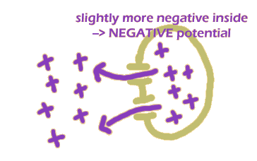 illustrating the negative potential