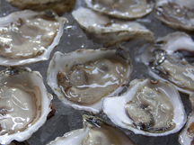 raw oysters ... yum...