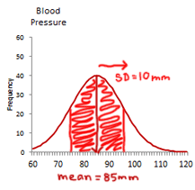 mean height of women is 64.5 inches