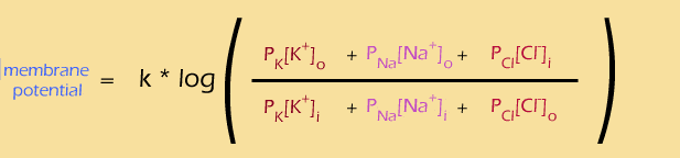 goldman equation