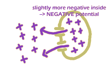 illustrating the negative potential