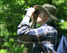 man birdwatching