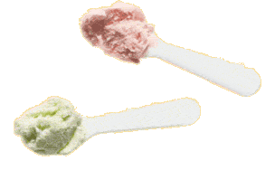 sample of ice cream