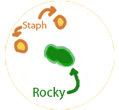 1 rocky
