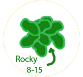 1 rocky