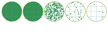 importance of serial dilution