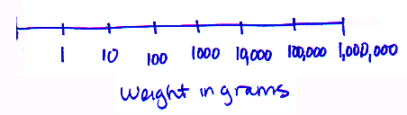 1000 log scale