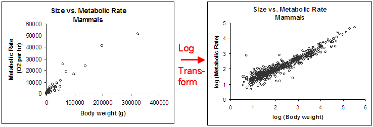 the-log-transformation