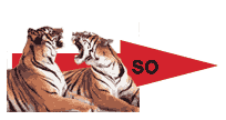 2 tigers 'arguing'