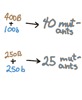 mutation rates