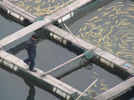 fish farm