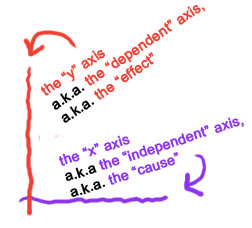 the x adn y axes
