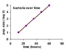 with transformation